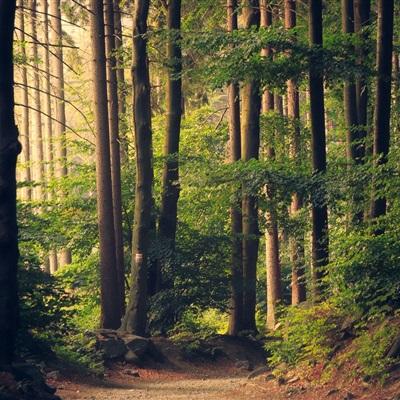 万博manbetx客户端