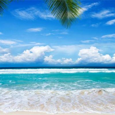 KU体育APP下载截图